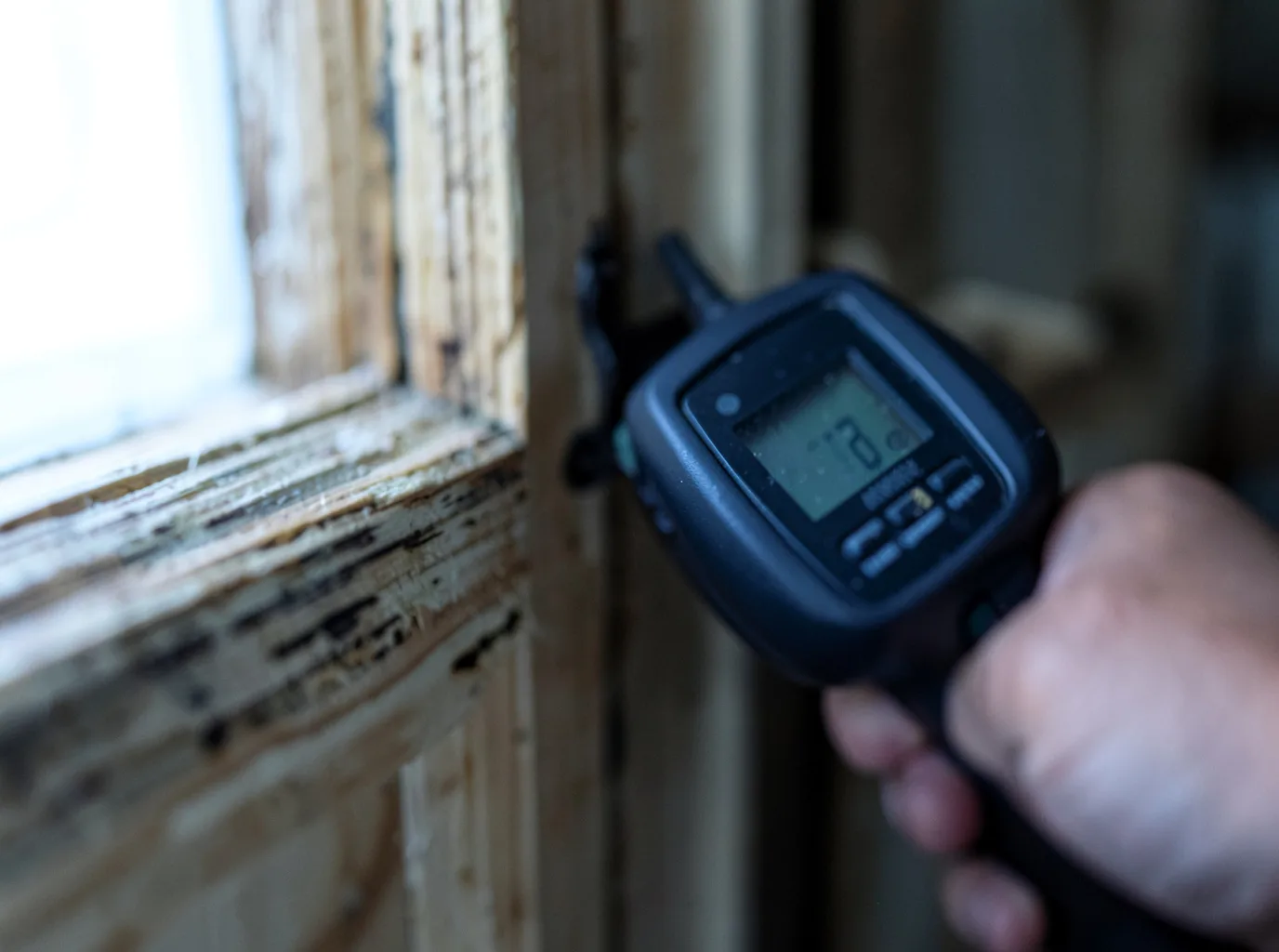 Moisture Inspection And Documentation in Eagle Grove, IA